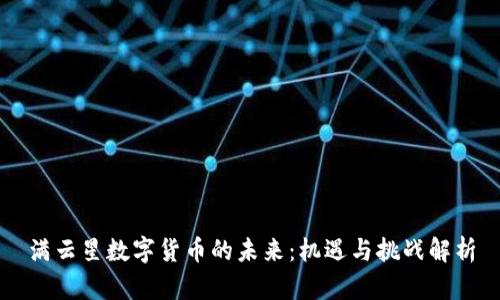 满云星数字货币的未来：机遇与挑战解析