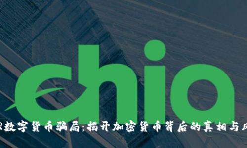 DCR数字货币骗局：揭开加密货币背后的真相与风险