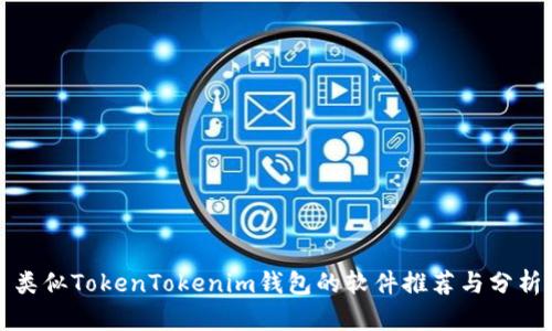 类似TokenTokenim钱包的软件推荐与分析