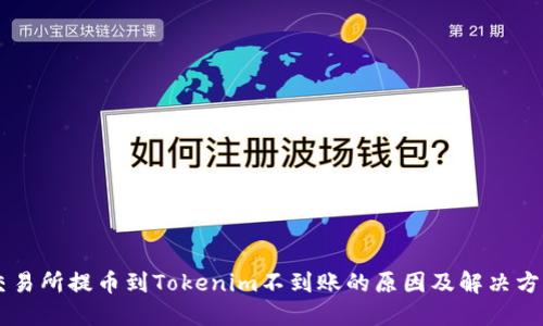 交易所提币到Tokenim不到账的原因及解决方法