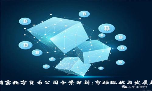 柬埔寨数字货币公司全景分析：市场现状与发展趋势