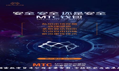 柬埔寨数字货币公司全景分析：市场现状与发展趋势