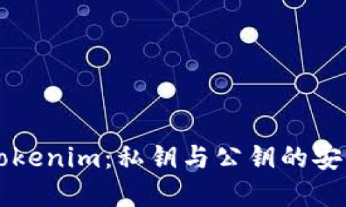 深入了解Tokenim：私钥与公钥的安全性及应用