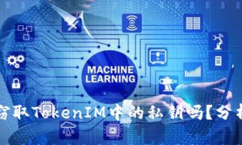 恶意程序能窃取TokenIM中的私钥吗？分析与防护策略