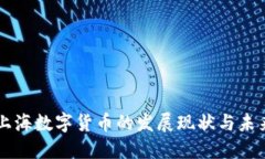 中国上海数字货币的发展