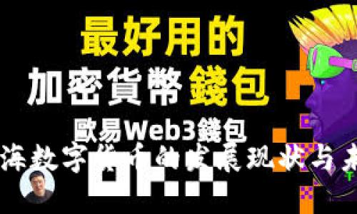 中国上海数字货币的发展现状与未来展望