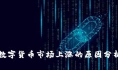 数字货币市场上涨的原因