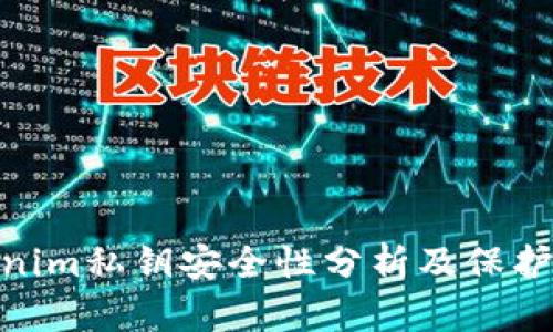 Tokenim私钥安全性分析及保护措施