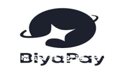biati如何使用TokenMax钱包进