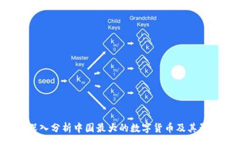 深入分析中国最大的数字货币及其影响