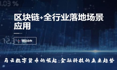 马云数字货币的崛起：金融科技的未来趋势
