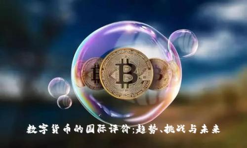 数字货币的国际评价：趋势、挑战与未来