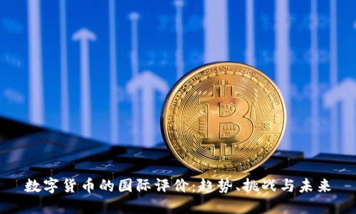 数字货币的国际评价：趋势、挑战与未来