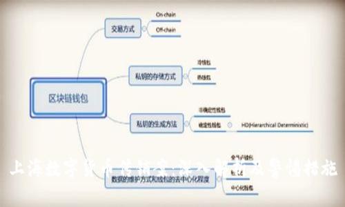 上海数字货币传销案：深入解析及警惕措施