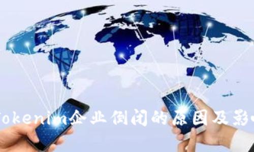 ## Tokenim企业倒闭的原因及影响分析