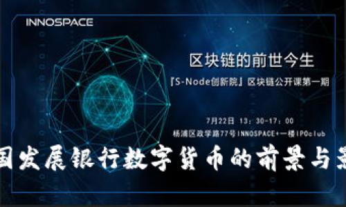 中国发展银行数字货币的前景与影响