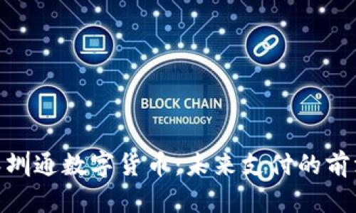 探索深圳通数字货币：未来支付的前沿科技