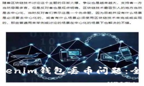 如何解决TokenTokenim钱包丢币问题：全面指南与解决方案