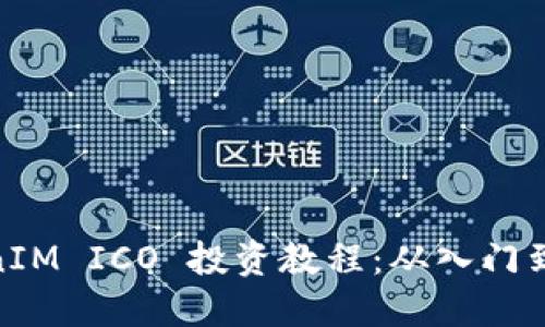 TokenIM ICO 投资教程：从入门到精通