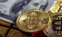 在TokenIM中，＂version＂通常