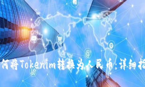 如何将Tokenim转换为人民币：详细指南