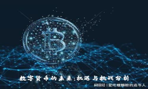 数字货币的未来：机遇与挑战分析