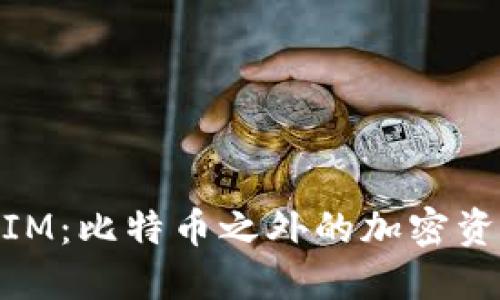 理解TokenIM：比特币之外的加密资产管理平台