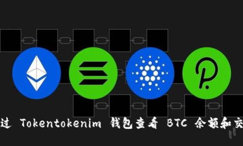 如何通过 Tokentokenim 钱包查看 BTC 余额和交易记录