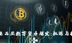 马来西亚数字货币爆发：