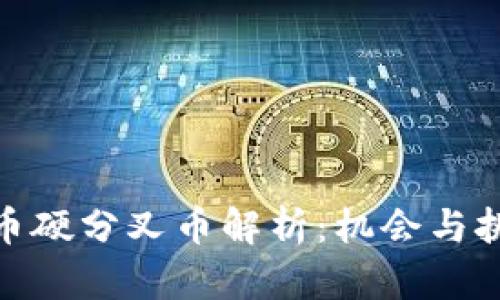 数字货币硬分叉币解析：机会与挑战并存