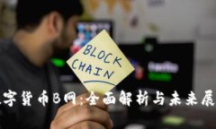 数字货币B网：全面解析与