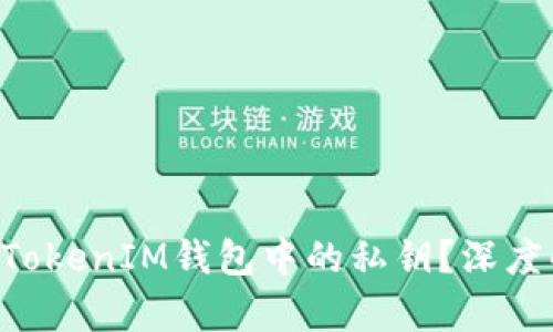 什么是TokenTokenIM钱包中的私钥？深度解析及重要性