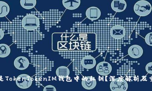 什么是TokenTokenIM钱包中的私钥？深度解析及重要性