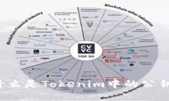 什么是Tokenim中的公钥？