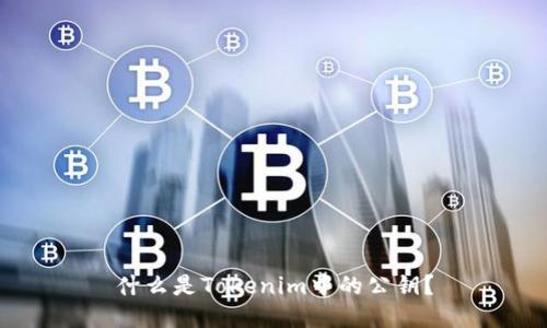 什么是Tokenim中的公钥？