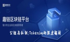 公链与私钥：Tokenim的深度解析