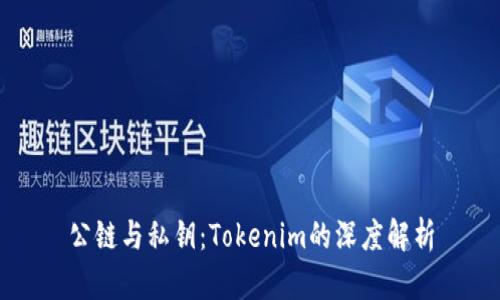 公链与私钥：Tokenim的深度解析