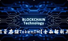 BSV链上能否存储TokenIM？全面解析与应用前景