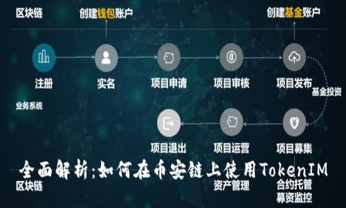 全面解析：如何在币安链上使用TokenIM