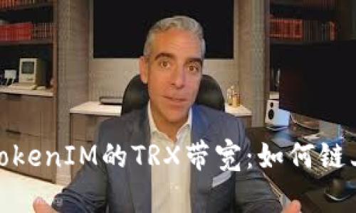 深入解析TokenIM的TRX带宽：如何链上交易体验