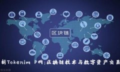 深入解析Tokenim P网：区块