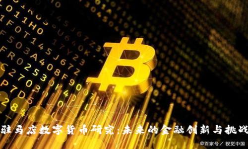 驻马店数字货币研究：未来的金融创新与挑战