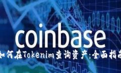 如何在Tokenim查询资产：全