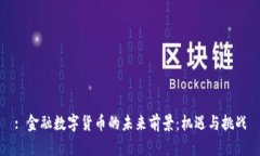 : 金融数字货币的未来前景