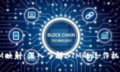 TokenIM BTM映射：深入了解BTM的运作机制与应用前景