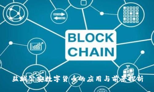 盐城公安数字货币的应用与前景探析
