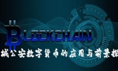 盐城公安数字货币的应用与前景探析