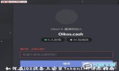 如何在iOS设备上安装TokenIM：详尽指南