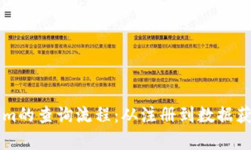 深入解析Tokenim的查询流程：从注册到数据获取的全方位指南