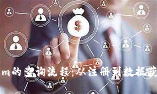 深入解析Tokenim的查询流程：从注册到数据获取的全方位指南